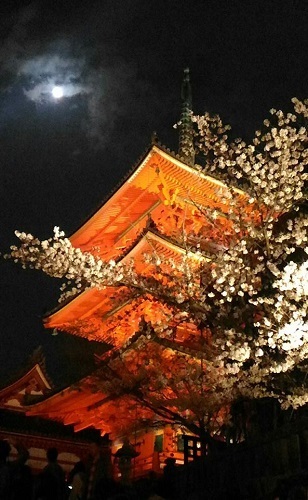京都２.jpg