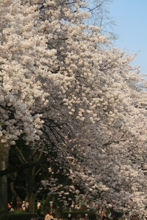 Vh䉑@Q.jpg