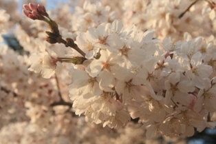 Vh䉑@R.jpg
