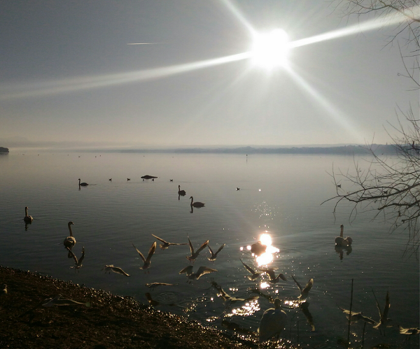 ammersee2.png